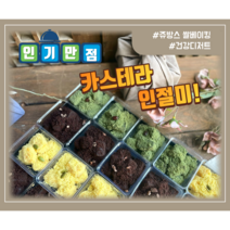 [부산 쥬방스 카스테라 인절미] 3가지 맛 백일떡 돌잔치 간식 답례떡 단체간식 촬영간식 상차림 맛있는떡집 식사대용 어린이집 이사 생일 쌀, 쑥(450g)