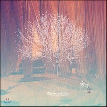 [CD] 숨의숲 - 미니앨범 : 내 마음을…묻다 [재발매]