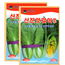 한국종묘 엇갈이배추씨앗 10g-2봉 광택있는잎 모양 맛이좋음 가정원예용