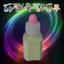 PGM*^몰향앤미과학 야광 축광 가루 20g 공작 실험 공예 분말 도구 만들기^^췤pgm, a^^옵션없슴