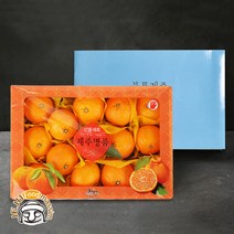 블루제주 서귀포 귤로향 4.5kg (선물용 20-26과 실중량), 단품