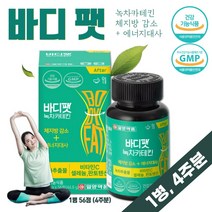 녹차 카테킨 다이어트 1통 약 4주분 하루 2알 식약처 인증 복합 기능성 건강 기능 식품 항산화 체지방 감소 혈중 콜레스테롤 개선 도움 유해산소 남자 여자 과체중 중년, 5통   20주분