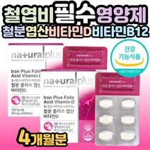 네츄럴플러스 철분 엽산 비타민D 60정 / 철 엽산 비타민b12 비타민D 4가지 복합기능성 알 약 케이스 사은품 증정, 2개, 60정(2개월분)