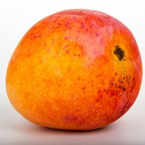 애플망고 애플망고가격 열대과일 생애플망고 애플망고보관법 애플망고1KG, 1KG