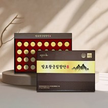 현대생활건강 숙성 발효 왕궁침향단 침향환 침향 35%, 1박스, 120g