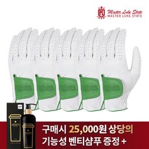 마스터루크 올양피 골프장갑 5Color 5장 왼손 세트 (구매시 벤티샴푸500ml 증정), 2. 그린