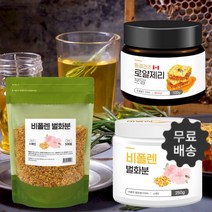 로열젤리 분말 가루 로열락틴 파우더 생로얄제리 하이드록시데센산 비폴렌 먹는화분 꿀벌화분 효능, 1-3캐나다 로얄제리100g 3통