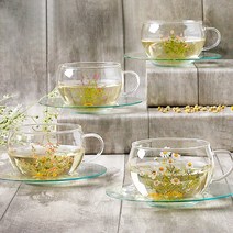 에바플라워 내열유리 찻잔세트 티잔 커피잔 8P, 05-샤리 미니 찻잔세트 8P