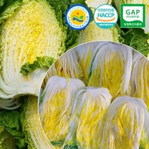 [참살이농산물] HACCP 해썹인증 해남 절임배추 20kg, 01월 28일 (토)