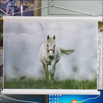 A274-1/풍경사진/말사진/말그림/대형말사진