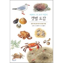 갯벌 도감:동해 서해 남해 바닷가 동식물 179종, 보리