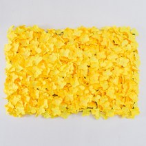 조화꽃벽 월가든 꽃포토존