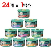팬시피스트 엘레강트메들리 플로렌틴 치킨 고양이 캔, 24개입, 85g