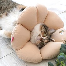 중성화수술후 쿠션보호대 고양이넥카라 치료용깔대기 깔대기 귀병애견 목카라 대형견