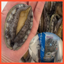 [산지직송] 완도 전복 활전복 직거래 특대 대 완도전복 꼬마 선물용 전복 선물세트 30미 500g 1kg, 7. [전복500g], 1개
