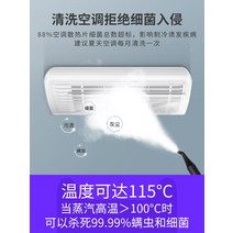 스팀세차기 엔진고압세척기 고온 및 고압 스팀 청소기 상업용 다기능 가정용 주방 범위 후드 통합 에어컨 장비, [01] [2세대] 가정용 업그레이드 모델 2600W