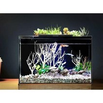 가정용 스마트어항 유리 수족관 생태 수조 LED 조명 터치 와이파이, Fish Tank + 암모나이트 조경 팩
