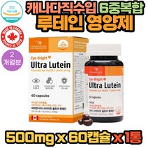 식약처인증 캐나다 직수입 6중 복합 기능성 50대 중년 눈 건강 영양제 울트라 루테인 60캡슐 X 1통 2개월분 마리골드꽃 베타카로틴 비타민 A E 아연 구리 함유