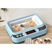 조류 부화기 계란 닭 병아리 오리 스마트 인큐베이터, 9구 (스마트 단일 배터리)