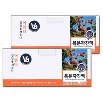중저온추출 16시간 국산 복분자 차 즙 진액 100ml x 30개입, 2박스