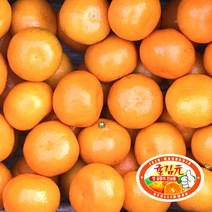 <루시.앤> 제주 귤림원 감귤 1.5kg/3kg/4.5kg / 임금님께 진상하던 그 귤밭이 귤림원이랍니다~, 4.5kg/2S-M/40-80입/60-107g내외” class=”wr-img”></a></div></div></div></div><div class=
