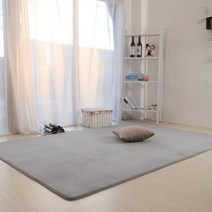 팔굽혀펴기 도구 q 짧은 털 미니 쿠션 양면 카펫 24523m 길이 라탄러그 수입러그 양모러그 패브릭소품 거실러그인테리어