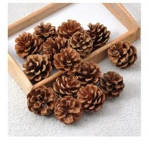 행복한세상 솔방울가습기 15p, 100개  (국내 자생품)