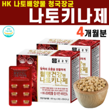 나토 나또 낫또 키나제 말토스 피브리노겐 피브린 아가리쿠스 버섯 피로인산제이철 판토텐산칼슘 나토키나제 나또키나제 청국장균, 2박스 x 60캡슐