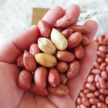 [산지직송] 좋은물과 흙이 만들어낸 땅콩! 23년 여주 햇 생 땅콩 300g, 1개