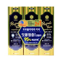 페리오 프로폴리테라 치약 클래식 민트 100gx3p _74563EA, 쿠팡 달동네 1, 쿠팡 달동네 본상품선택