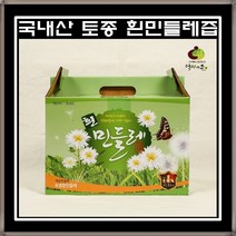 국내산 흰민들레 엑기스 1박스(100ml x 60포) 토종 민들레즙