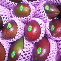 [미인과친한]브라질애플망고 4-6과(2kg)