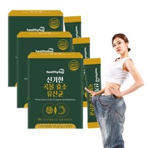 속편한 발효 곡물 효소 유산균 30포 임산부 착한 생생 마이 여우 바른, 3통 (3g 90포)