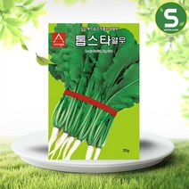 솔림텃밭몰 아시아종묘 열무씨앗 20g 톱스타열무 무씨앗 열무김치용 쌈용