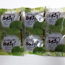 머위즙 100ml 30포/머위뿌리즙/머위엑기스/머위뿌리만 사용하여 직접제조