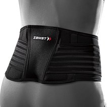 ZAMST 허리 보호대 벨트 ZW-5, 2L + 1개