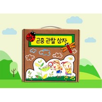 초등 여름미술활동 곤충채집통만들기_3p 집콕놀이키트 엄마표놀이 방과후 복지프로그램 퍼포먼스미술