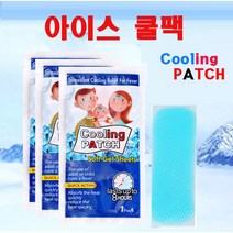 메카텍 아이스쿨팩 여름쿨팩 냉쿨팩, 1개