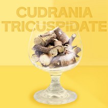 열린약초 국내산 구지뽕나무가지 구지뽕 꾸지뽕, 600g, 1개, 1개
