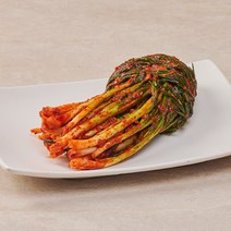 [맛난국산파김치] [김치곳간] 전라도 국내산 매콤 알싸한 파김치 2kg / 3kg