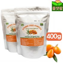 X10 비타민나무열매가루 400g 씨벅톤 산자나무 분말 가루 아보카도오일/양파즙/포르치니/사과즙/양배추/야채/햄프씨드/산사/롯데헬스원/레몬밤, 단일 수량