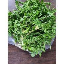 #가락시장 나물이네# 당일경매 향긋한세척냉이2kg 된장찌게에 맛있는냉이넣어서드세요 /오후2시이전주문당일출고99%/주말 공휴일제외, 2kg, 1개