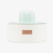 프로젝트21 선인장 젠에디션 고양이 강아지 정수기 세라믹 음수대 음수기 저소음 물분수, 선인장정수기