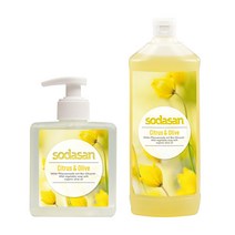 소다산 리퀴드 솝 시트러스 300ml+1000ml 세트, 단품