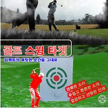 스윙타겟B형 스윙타켓 골프스윙타겟 골프용품 대형사, 상세페이지 참조, 상세페이지 참조