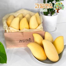 [과일엔] 태국 남독마이 생 골드망고 5-10과 2.5kg 내외 열대과일, 단품