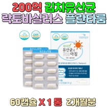 200억 김치 유산균 락토바실러스 플랜타룸 람노서스 가세리 카제이 임산부 장건강 원활 도움 성인남녀 노약자 과도한 다이어트 배변후 잔변감 가스가 많이 차는 분
