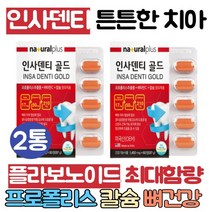 인사덴티 칼슘 2통 플라보노이드 프로폴리스추출물 뼈 치아 잇몸 이빨 구강 튼튼 케어 항산화 미국직수입