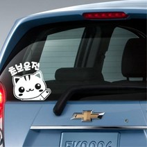 초보운전고양이 귀여운 자동차 스티커 차량용데칼, 중형, 그레이