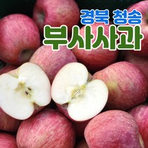 산지직송 경북 청송 사과 부사 5kg 10kg 가정용 정품 중소과 중과 대과, 정품용_부사, 10kg_대과